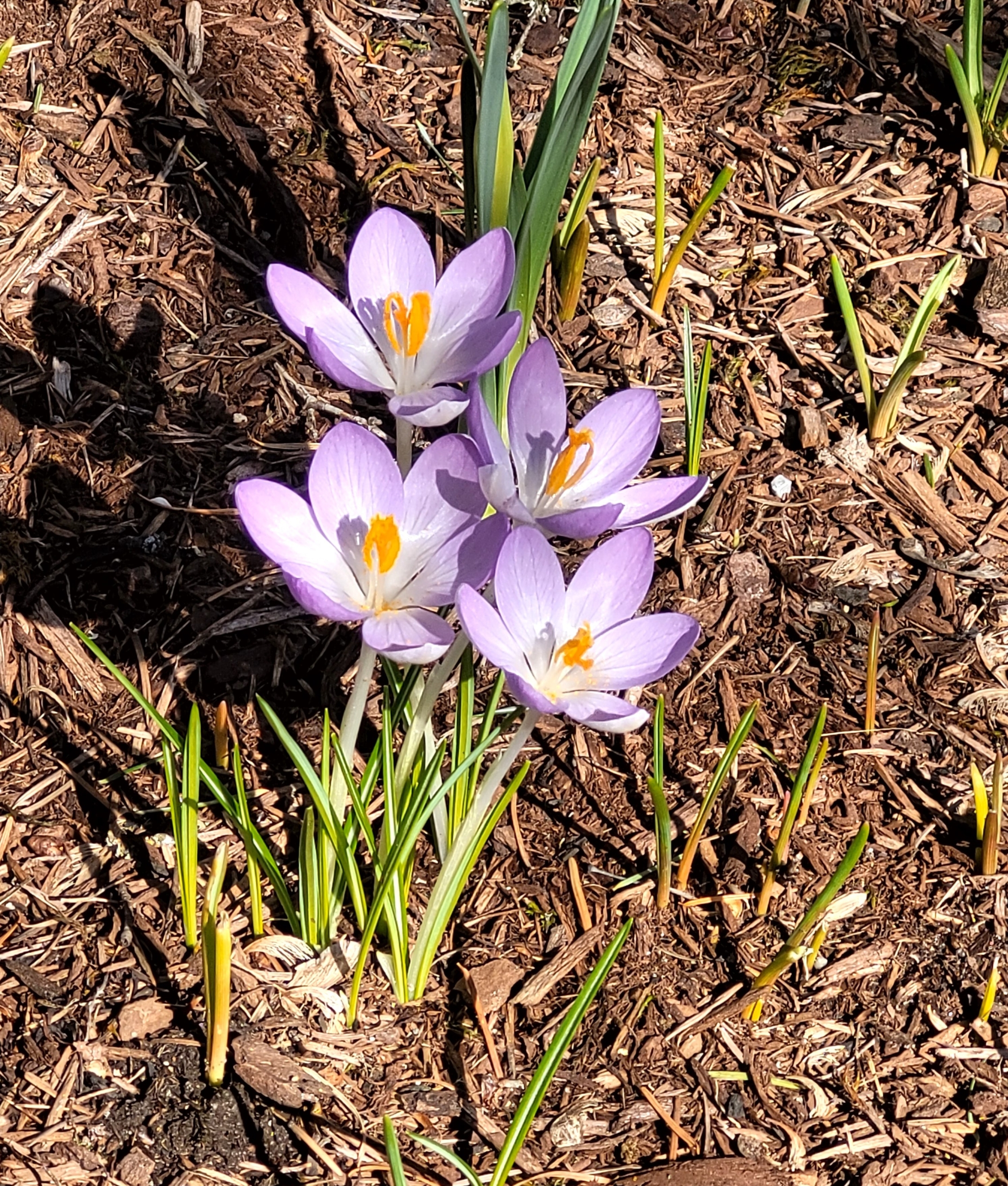 Spring is Here… but Are You Still in Winter Mode?